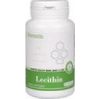 Lecithin (Лецитин) - эффективный и безопасный растительный лецитин