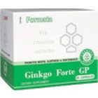 Ginkgo Forte GP (Джинкго Форте Джи Пи) - 2 Гинкго в одной формуле