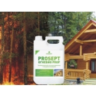 PROSEPT ОГНЕБИО PROFESSIONAL – Огнебиозащитный состав для древесины