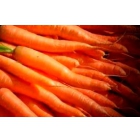 Морковь от производителя www.avtokonsalt.com