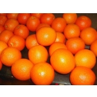 Апельсины от производителя www.avtokonsalt.com