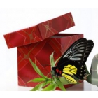 Праздничная коробка с бабочкой