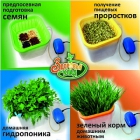 Домашняя гидропонная установка Здоровья Клад Проращиватель семян, ростков, косточек, зёрен 