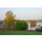 Участок 29 Га на берегу озера Але в Псковской области 