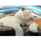 Комплект постельного белья «Белый лев» 1,5-сп, 3Д сатин
