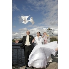 белые голуби на свадьбу в Пскове.