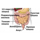 Обследование на паразитов