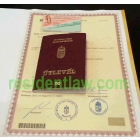 Европейское гражданство.  Eвропейский паспорт