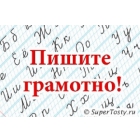 Русский язык по скайпу.  В короткий срок научу писать без ошибок.