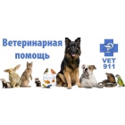 Ветеринарная помощь 911