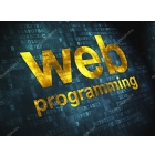 Курс «Web-программирование, web-дизайн» в центре «Союз»