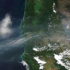 Дым от сибирских пожаров уже достиг западного побережья США