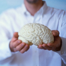 Обнаружена зона мозга, отвечающая за уникальность человеческого разума
